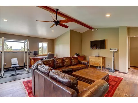 302 Ranch Way, Bailey, CO 80421 photo 23