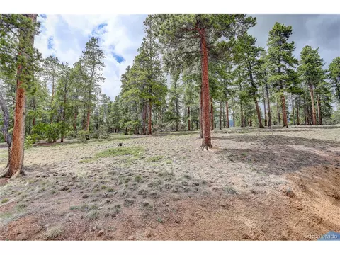 302 Ranch Way, Bailey, CO 80421 photo 36