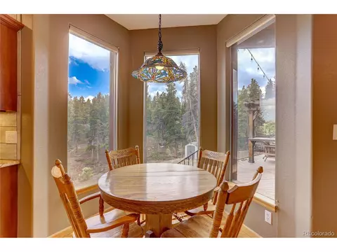302 Ranch Way, Bailey, CO 80421 photo 10