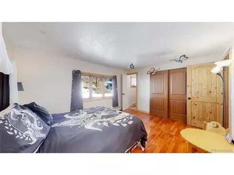 21 Pine Hollow Rd, Bailey, CO 80421 photo 11