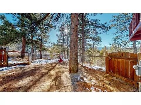 21 Pine Hollow Rd, Bailey, CO 80421 photo 24