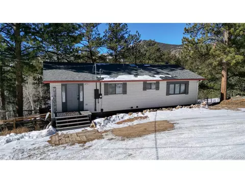 21 Pine Hollow Rd, Bailey, CO 80421 photo 23