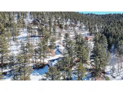 21 Pine Hollow Rd, Bailey, CO 80421 photo 29