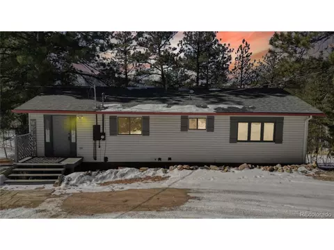 21 Pine Hollow Rd, Bailey, CO 80421 photo 30