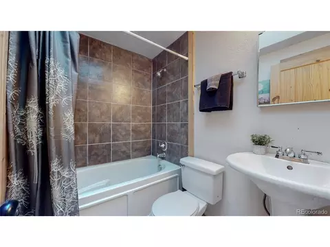 21 Pine Hollow Rd, Bailey, CO 80421 photo 9