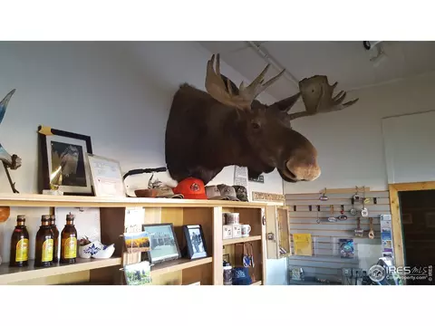 508 Main St, Walden, CO 80480 photo 27
