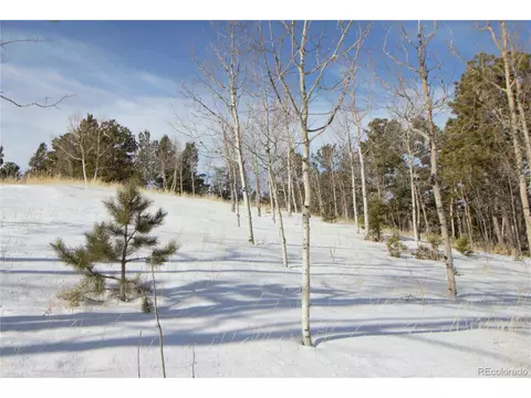 527 Klitowya Trl, Woodland Park, CO 80863