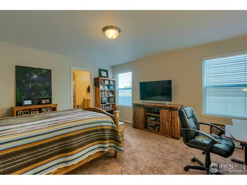 526 Cherryridge Dr, Windsor, CO 80550 photo 16