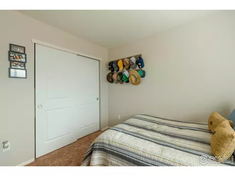 526 Cherryridge Dr, Windsor, CO 80550 photo 18