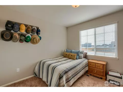 526 Cherryridge Dr, Windsor, CO 80550 photo 19
