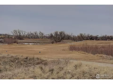 20203 E 55th Pl, Denver, CO 80249 photo 33
