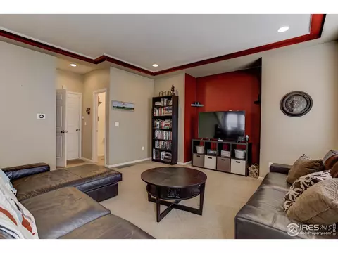 20203 E 55th Pl, Denver, CO 80249 photo 15