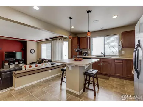20203 E 55th Pl, Denver, CO 80249 photo 10