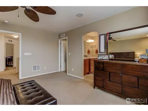 20203 E 55th Pl, Denver, CO 80249 photo 21