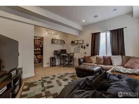 20203 E 55th Pl, Denver, CO 80249 photo 27