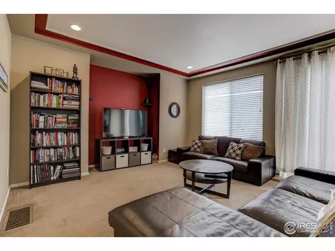 20203 E 55th Pl, Denver, CO 80249 photo 13