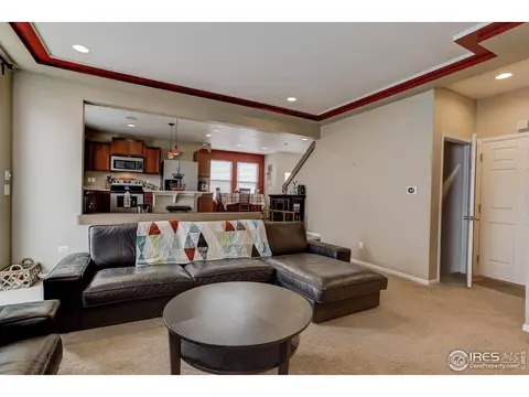 20203 E 55th Pl, Denver, CO 80249 photo 14