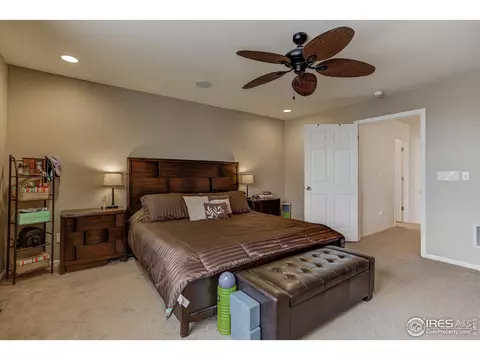 20203 E 55th Pl, Denver, CO 80249 photo 18