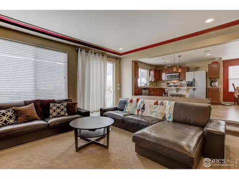 20203 E 55th Pl, Denver, CO 80249 photo 16