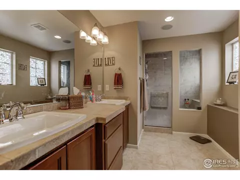 20203 E 55th Pl, Denver, CO 80249 photo 22