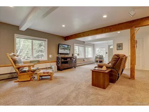384 Brookside Dr, Bailey, CO 80421 photo 28