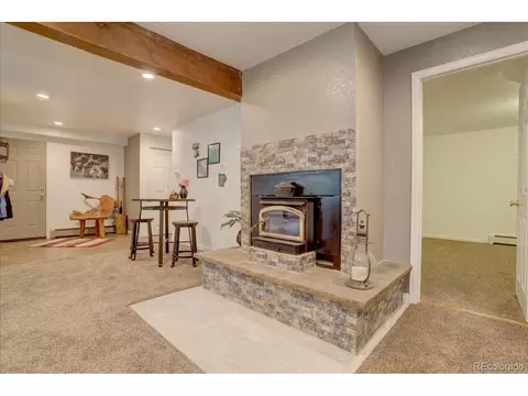 384 Brookside Dr, Bailey, CO 80421 photo 31