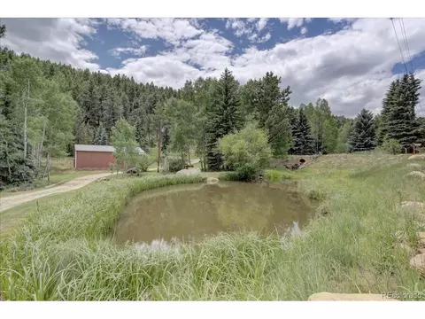 384 Brookside Dr, Bailey, CO 80421 photo 3