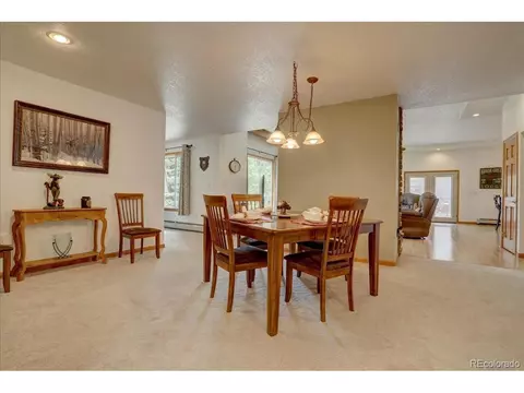 384 Brookside Dr, Bailey, CO 80421 photo 18