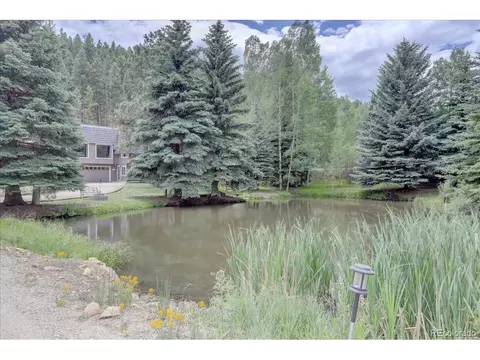 384 Brookside Dr, Bailey, CO 80421 photo 5
