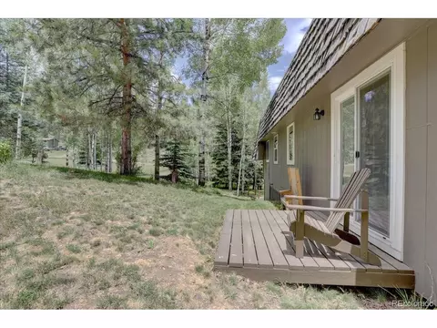 384 Brookside Dr, Bailey, CO 80421 photo 8