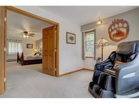 384 Brookside Dr, Bailey, CO 80421 photo 19
