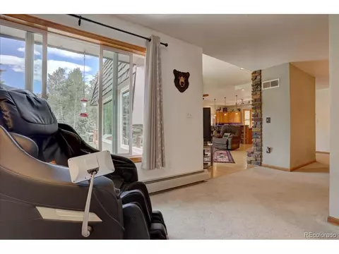 384 Brookside Dr, Bailey, CO 80421 photo 20