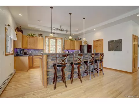 384 Brookside Dr, Bailey, CO 80421 photo 15
