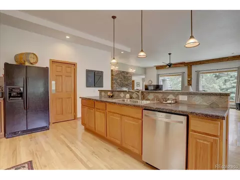 384 Brookside Dr, Bailey, CO 80421 photo 17