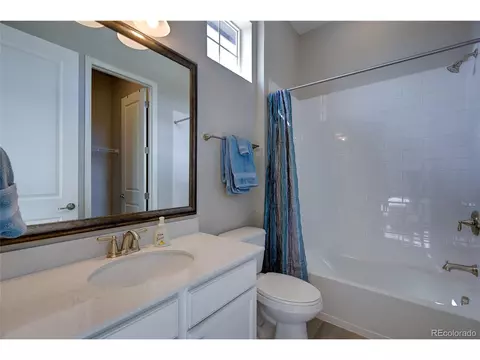 2982 Laminar Dr, Timnath, CO 80547 photo 31
