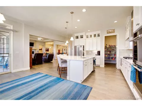 2982 Laminar Dr, Timnath, CO 80547 photo 16