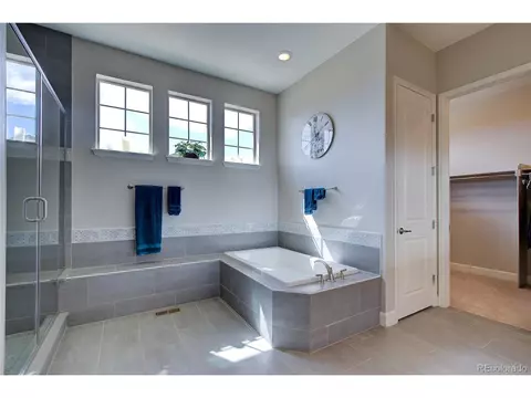 2982 Laminar Dr, Timnath, CO 80547 photo 27