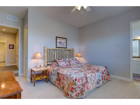 2982 Laminar Dr, Timnath, CO 80547 photo 32
