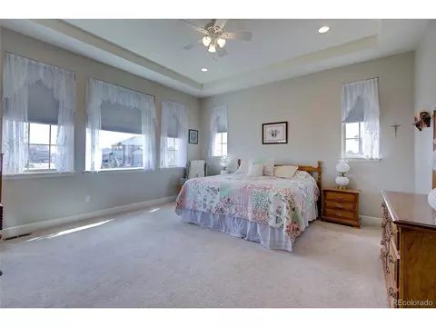 2982 Laminar Dr, Timnath, CO 80547 photo 20