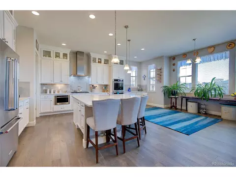 2982 Laminar Dr, Timnath, CO 80547 photo 14