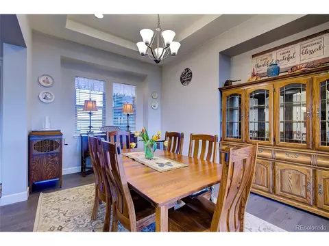 2982 Laminar Dr, Timnath, CO 80547 photo 8