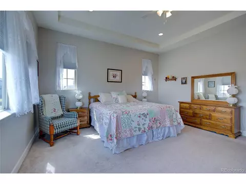 2982 Laminar Dr, Timnath, CO 80547 photo 21
