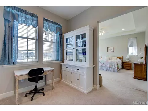 2982 Laminar Dr, Timnath, CO 80547 photo 24