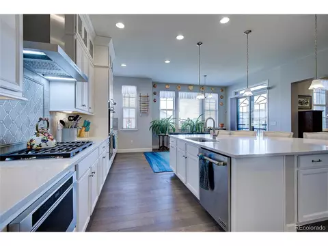 2982 Laminar Dr, Timnath, CO 80547 photo 15