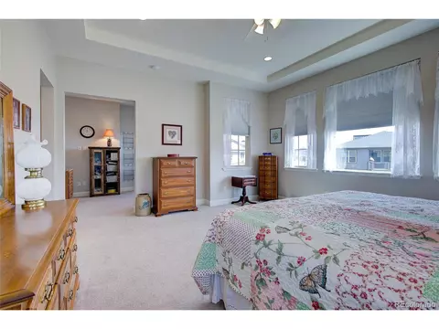 2982 Laminar Dr, Timnath, CO 80547 photo 22