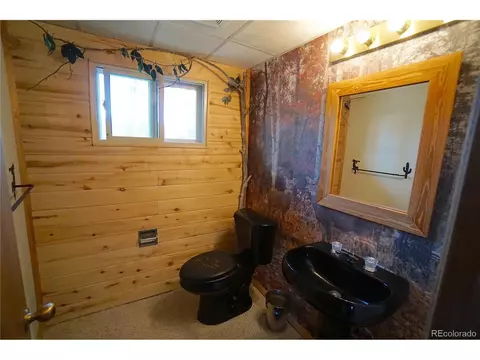 10047 Sprucedale Dr, Conifer, CO 80433 photo 29