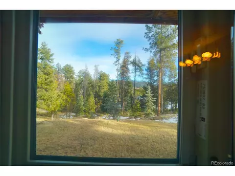 10047 Sprucedale Dr, Conifer, CO 80433 photo 30