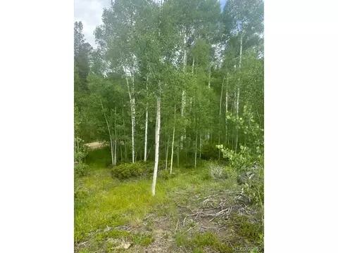 842 Elk Dale Dr, Tabernash, CO 80478