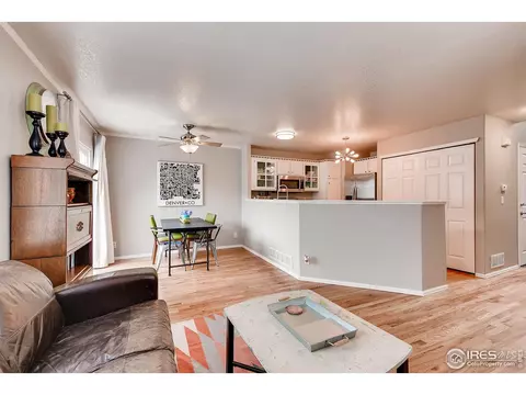 2229 E 103rd Ave, Thornton, CO 80229 photo 4
