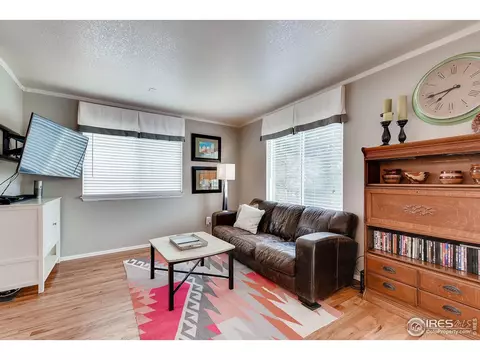 2229 E 103rd Ave, Thornton, CO 80229 photo 3